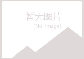 银川西夏听露水泥有限公司